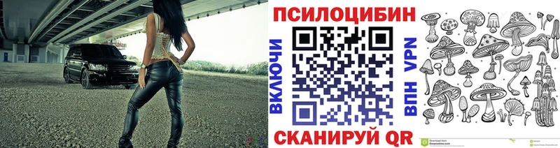 Галлюциногенные грибы Psilocybe  Можайск 